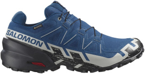 Кроссовки Speedcross 6 GTX Salomon, цвет Poseidon/Black